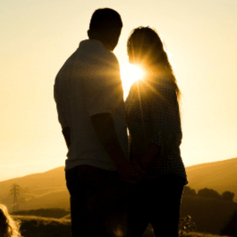 Meet your Posher, Buddemeyeryx